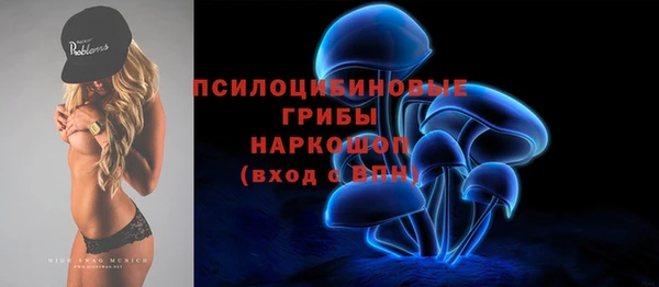 спиды Краснослободск
