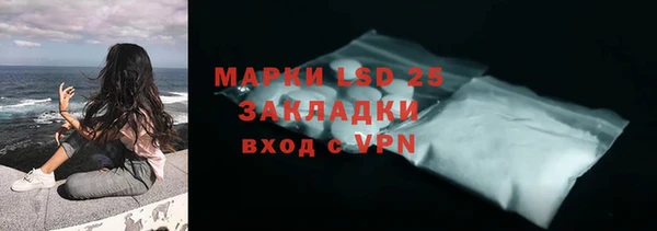 сатива Куйбышев