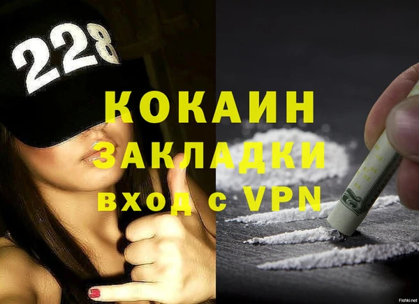 сатива Куйбышев