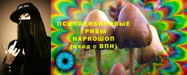 сатива Куйбышев
